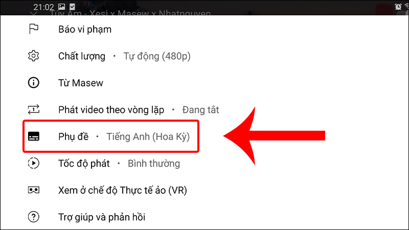 Phụ Đề YouTube Là Gì