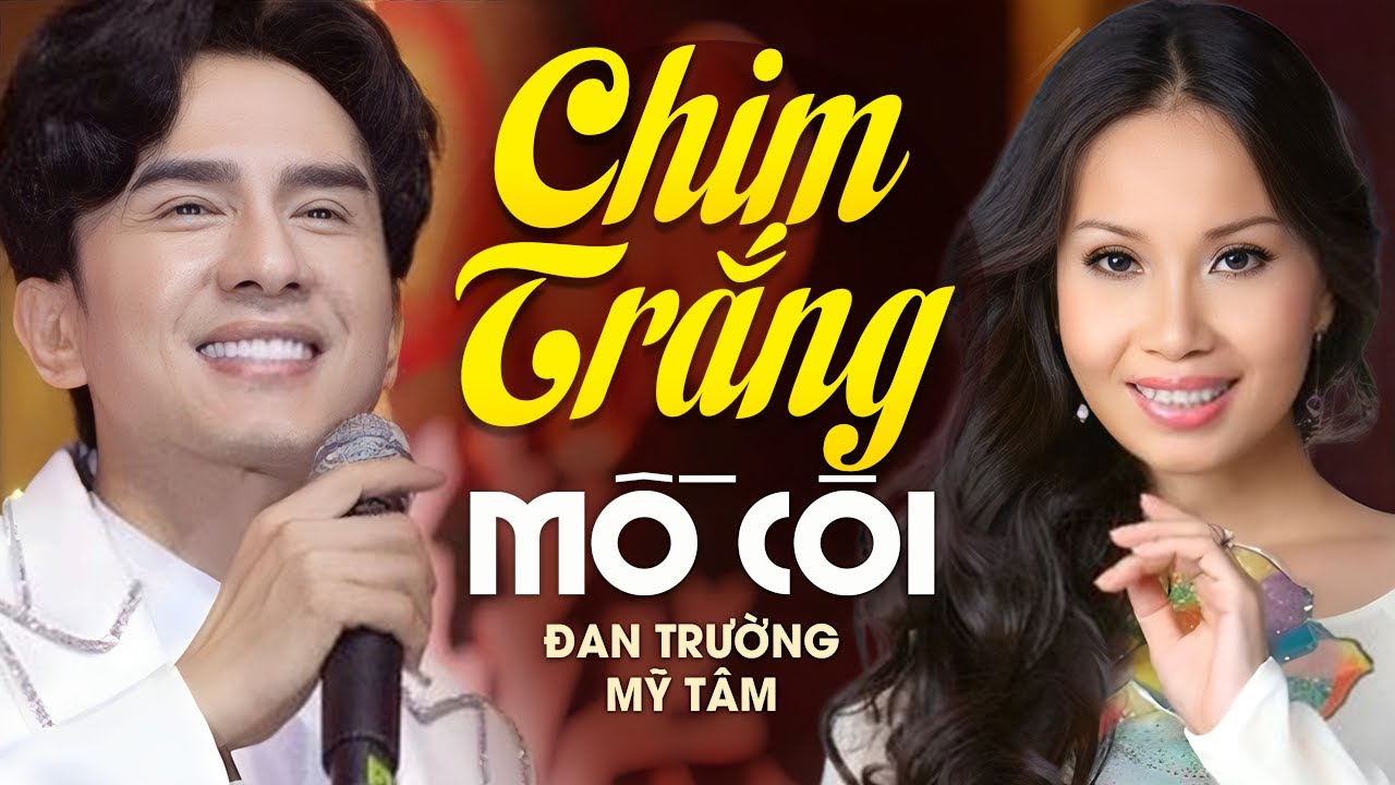 Lời Bài Hát Chim Trắng Mồ Côi – Lyrics Đầy Đủ, Chính Xác Nhất
